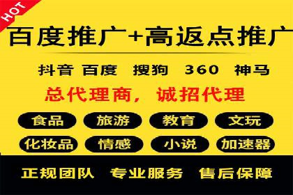百度竞价排名服务：成功案例解析